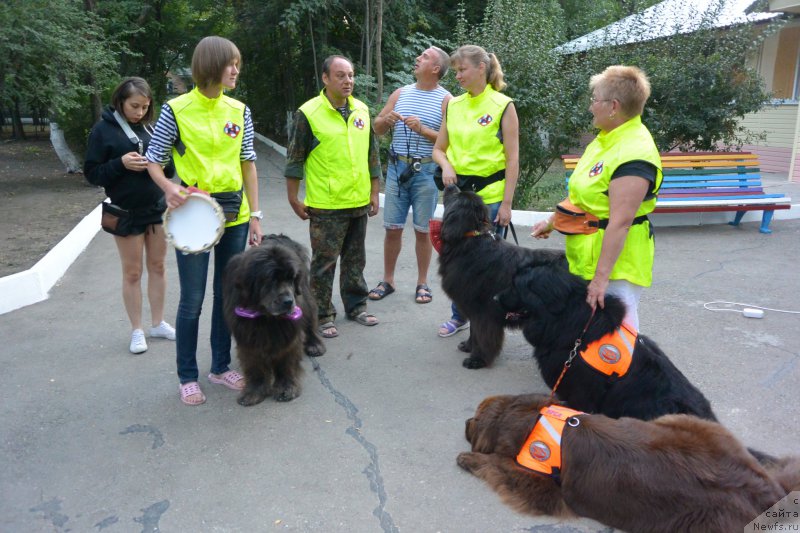 Фотография № 192115