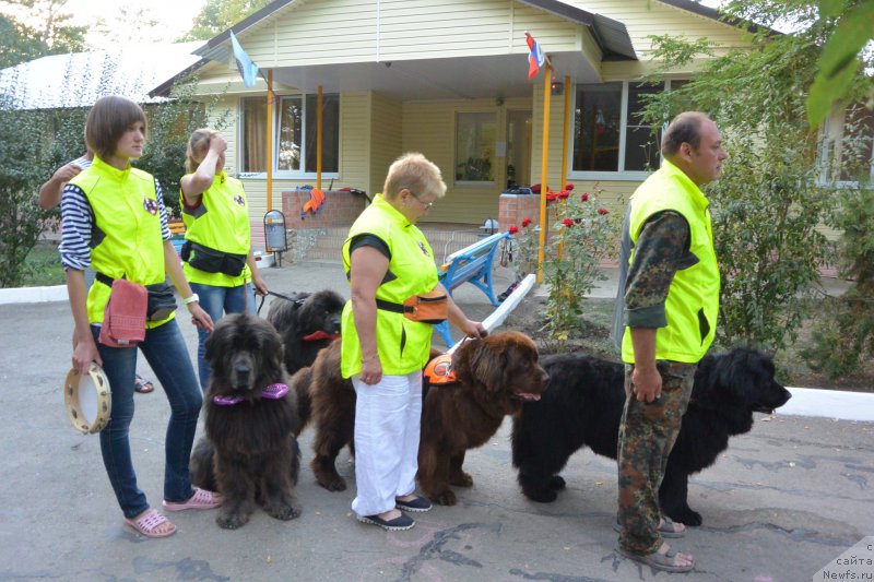 Фотография № 192116