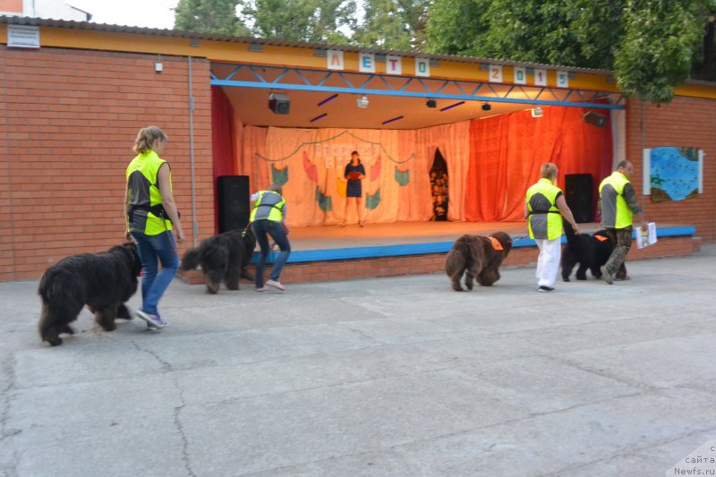 Фотография № 192118