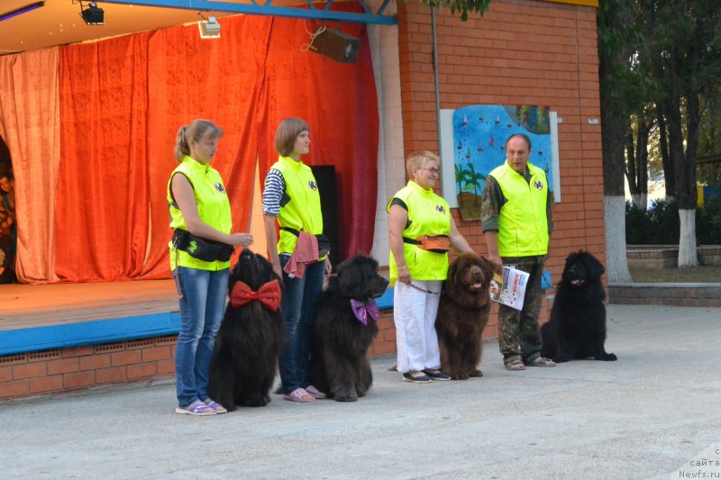 Фотография № 192119