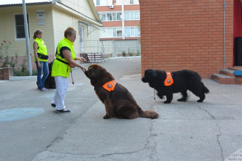 Фотография № 192123