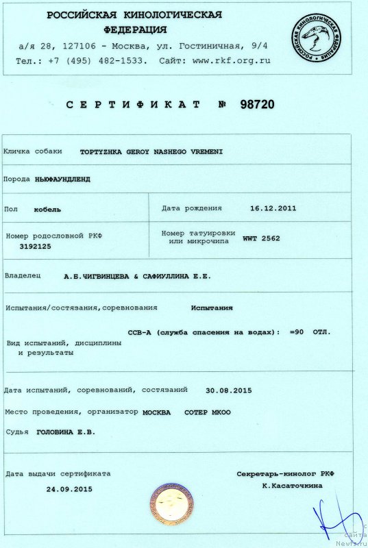 Фото: ньюфаундленд Toptyzhka Geroy Nashego Vremeni (Топтыжка Герой Нашего Времени)