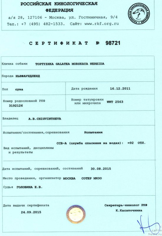 Фото: ньюфаундленд Toptyzhka Galatea Morskaya Nereida (Топтыжка Галатея Морская Нереида)