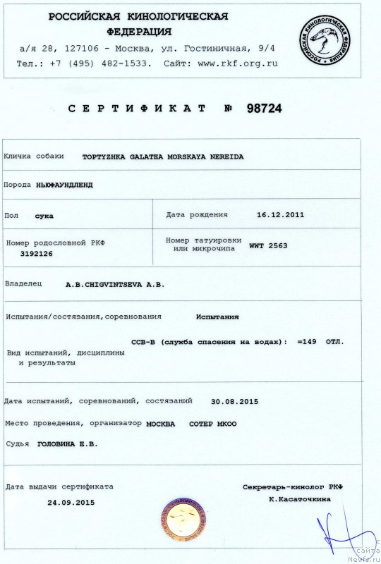 Фото: ньюфаундленд Toptyzhka Galatea Morskaya Nereida (Топтыжка Галатея Морская Нереида)
