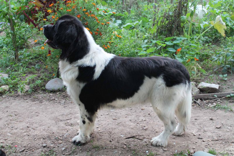 Фотография № 192170