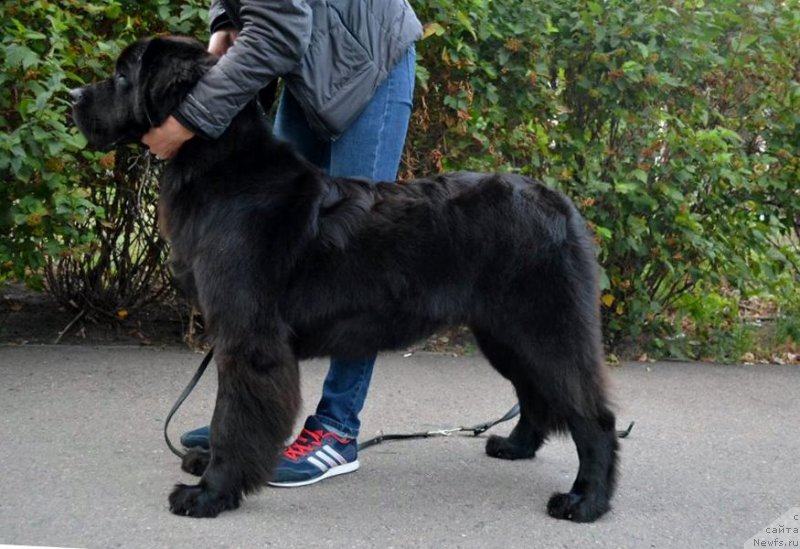 Фотография № 192204