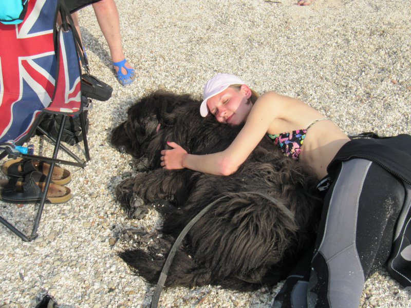 Фотография № 192208