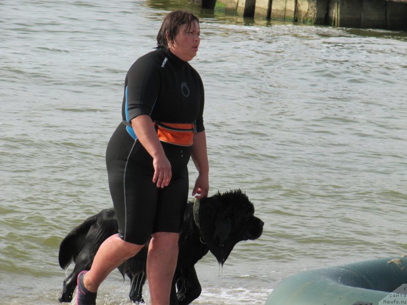 Фотография № 192222