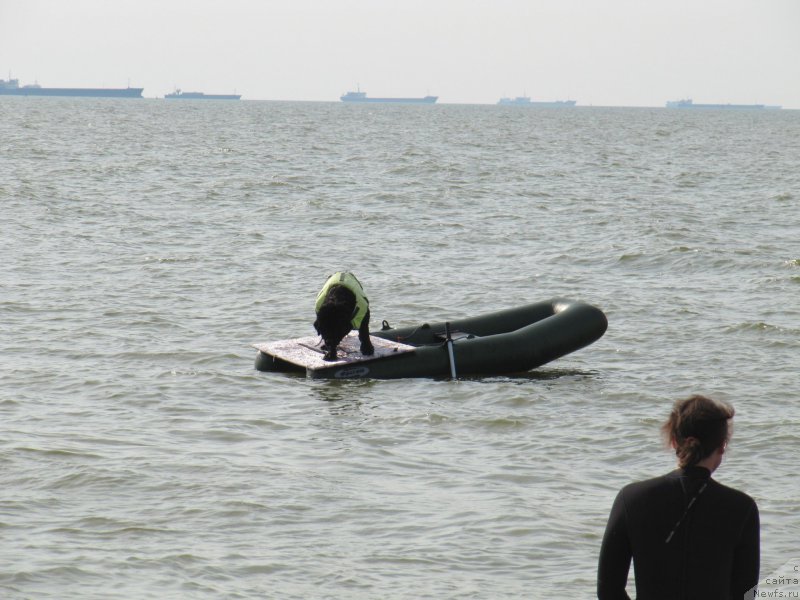 Фотография № 192225