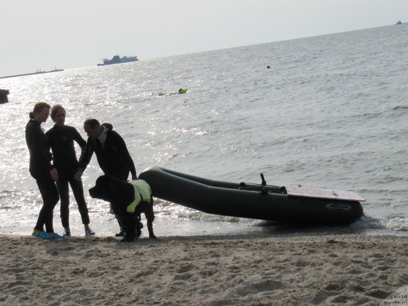 Фотография № 192226