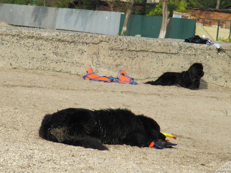 Фотография № 192227