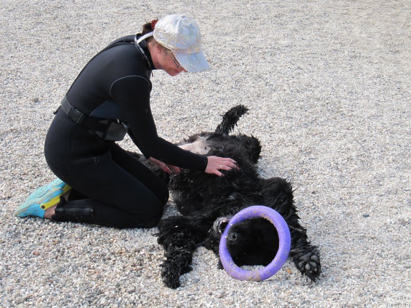 Фотография № 192239