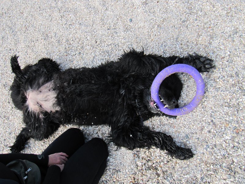 Фотография № 192240