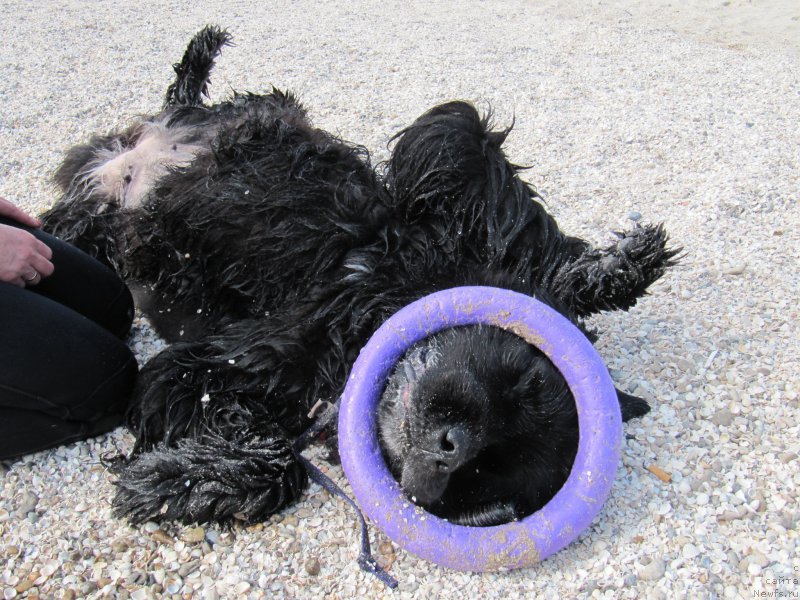 Фотография № 192241