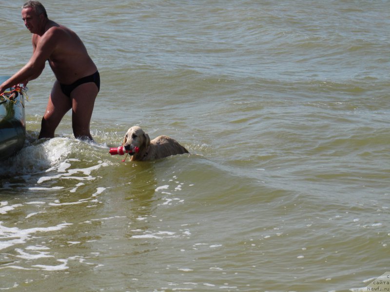 Фотография № 192246