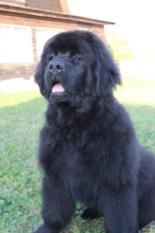 Фото: Natal'ya Smazchikova (Наталья Смазчикова)