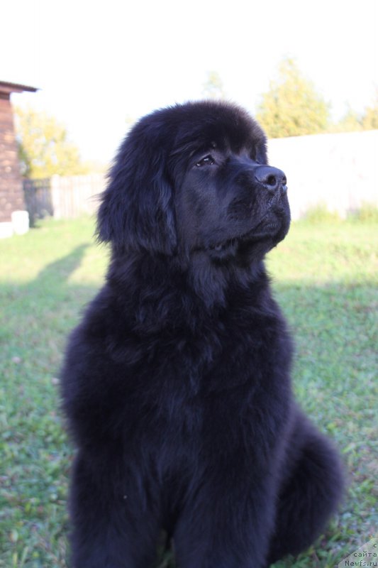 Фото: Natal'ya Smazchikova (Наталья Смазчикова)