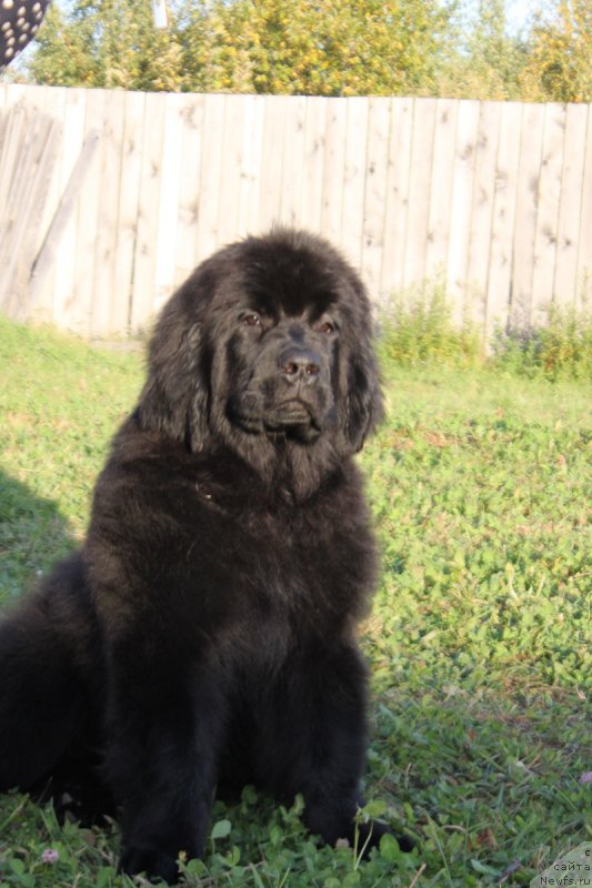 Фото: Natal'ya Smazchikova (Наталья Смазчикова)