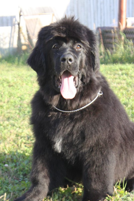 Фото: Natal'ya Smazchikova (Наталья Смазчикова)