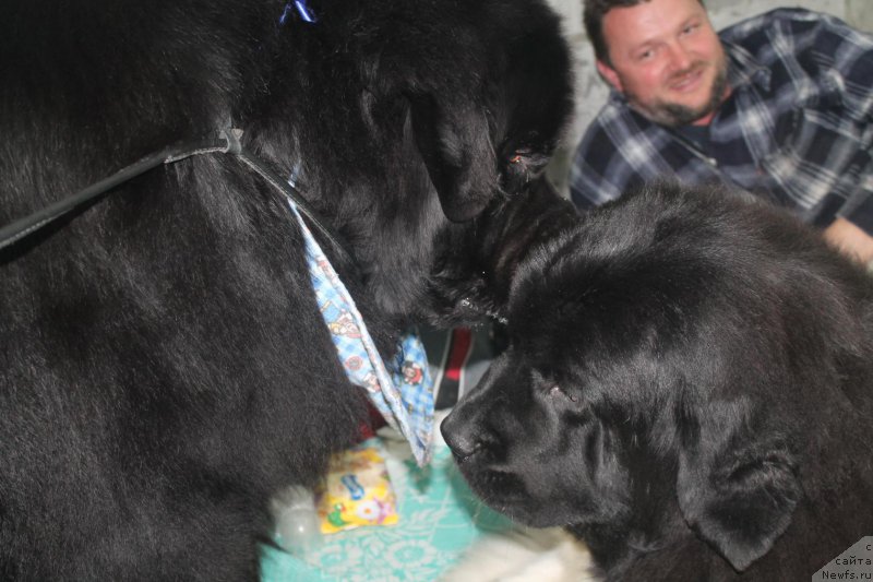 Фотография № 192281