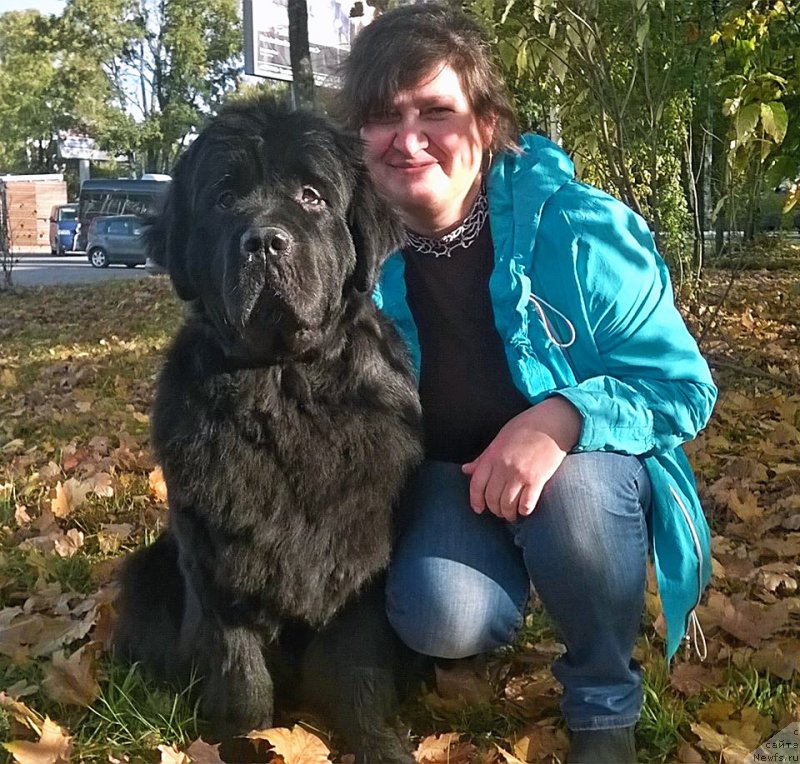 Фото: ньюфаундленд Beguschaya po Volnam Fifth Element (Бегущая по Волнам Фифтх Елемент), Nadejda Myasnikova (Надежда Мясникова)