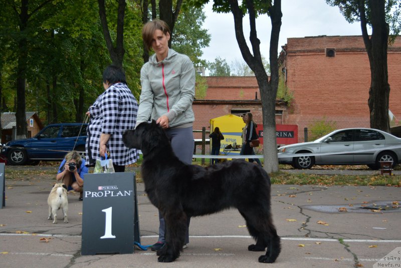 Фотография № 192306