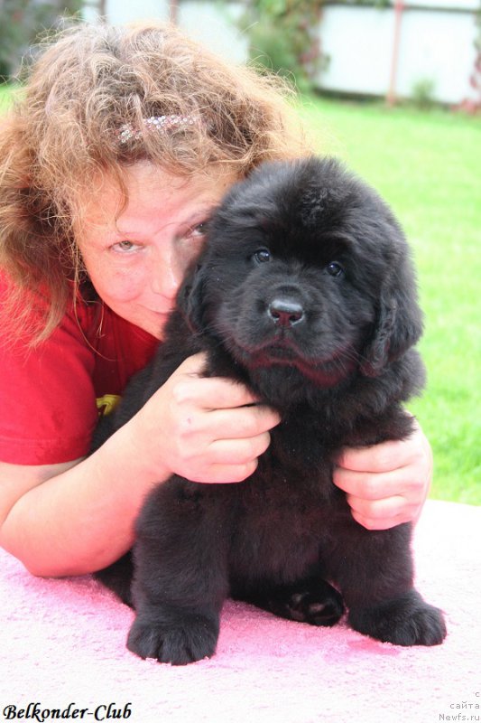 Фотография № 192340