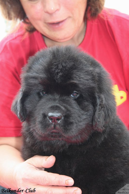 Фотография № 192346