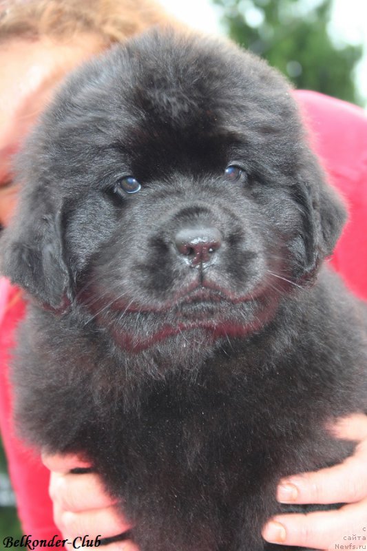 Фотография № 192348