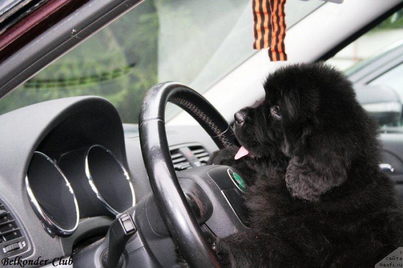 Фотография № 192357