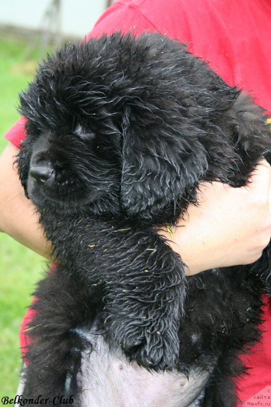 Фотография № 192360