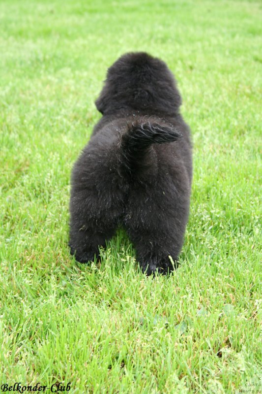 Фотография № 192362