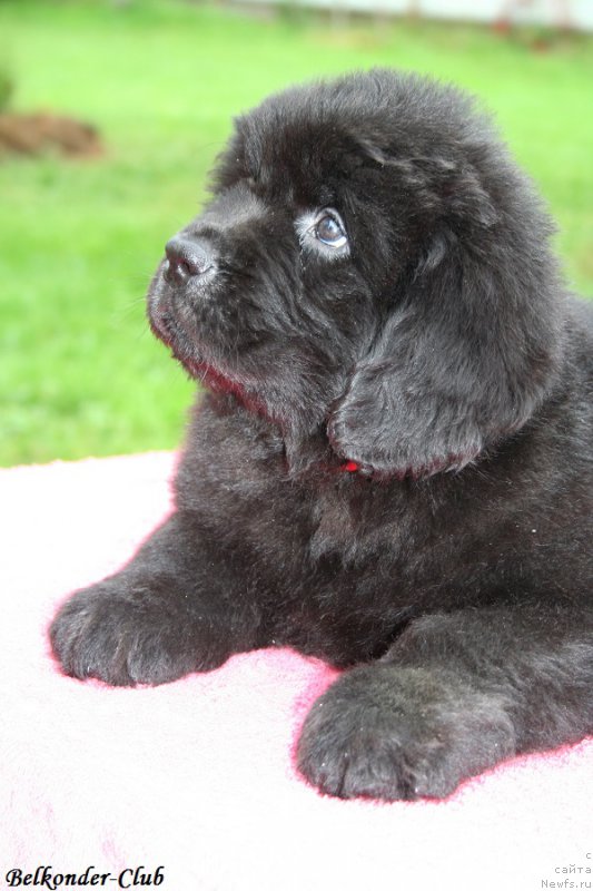 Фотография № 192374