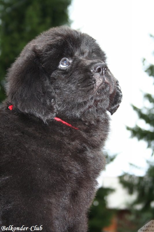 Фотография № 192377