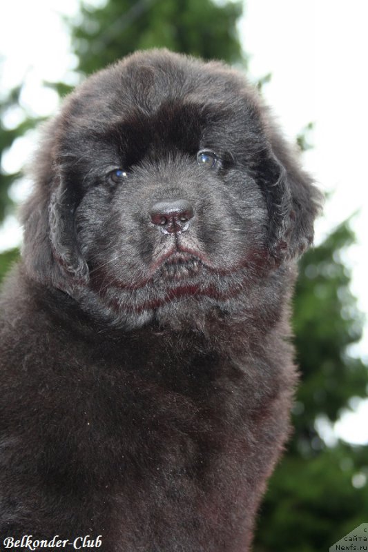 Фотография № 192379