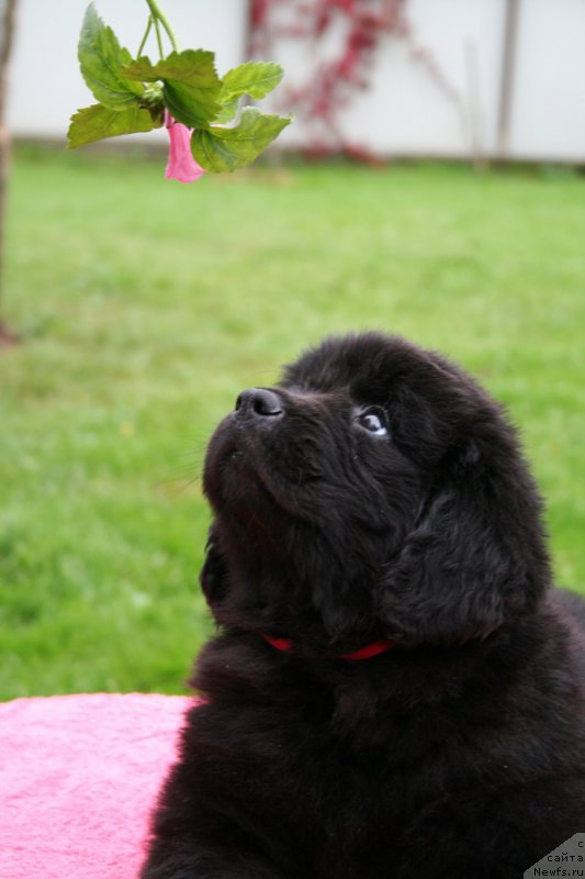 Фотография № 192382