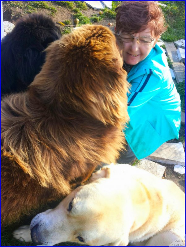 Фотография № 192383