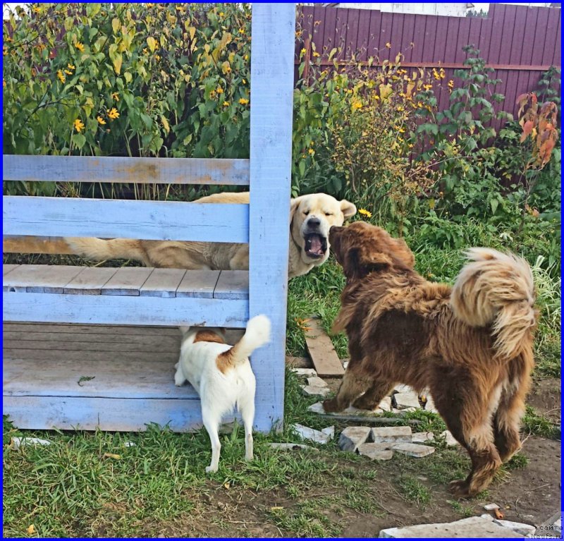 Фотография № 192388