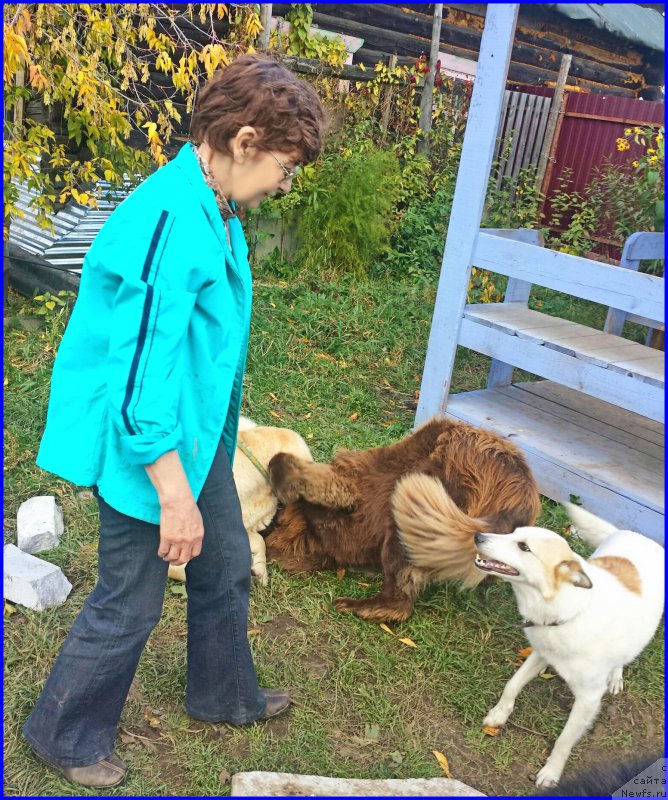 Фотография № 192389