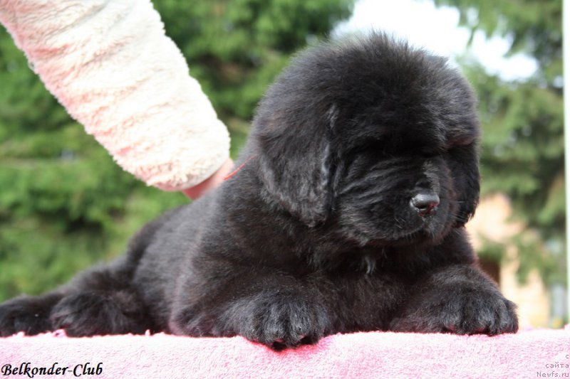 Фотография № 192394