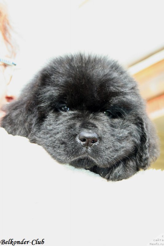 Фотография № 192400