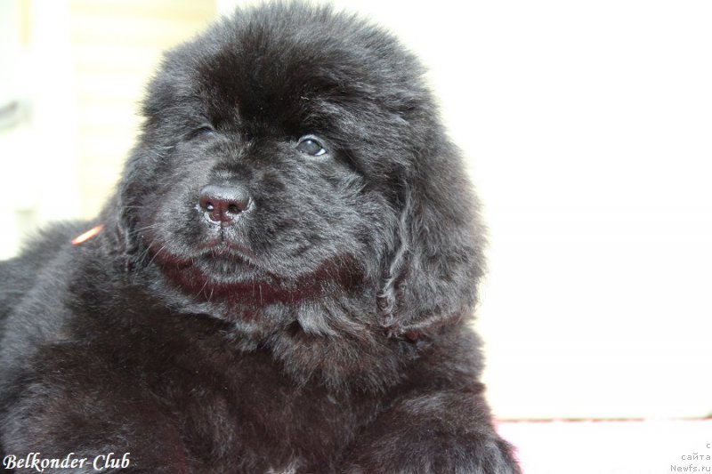 Фотография № 192404