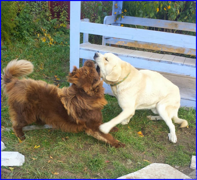 Фотография № 192405