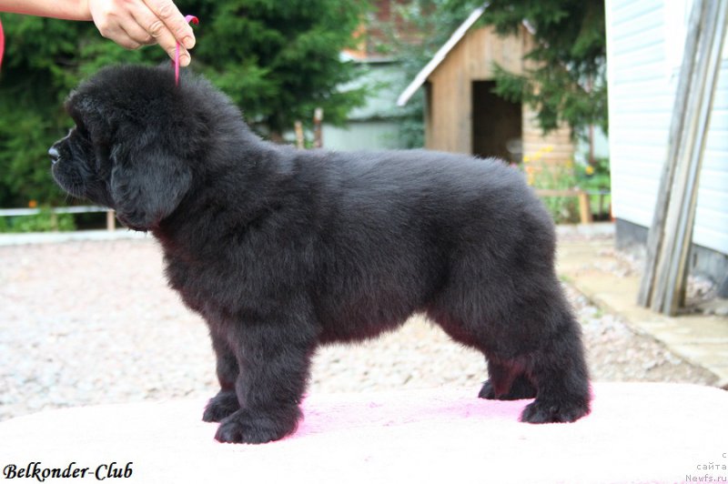 Фотография № 192410