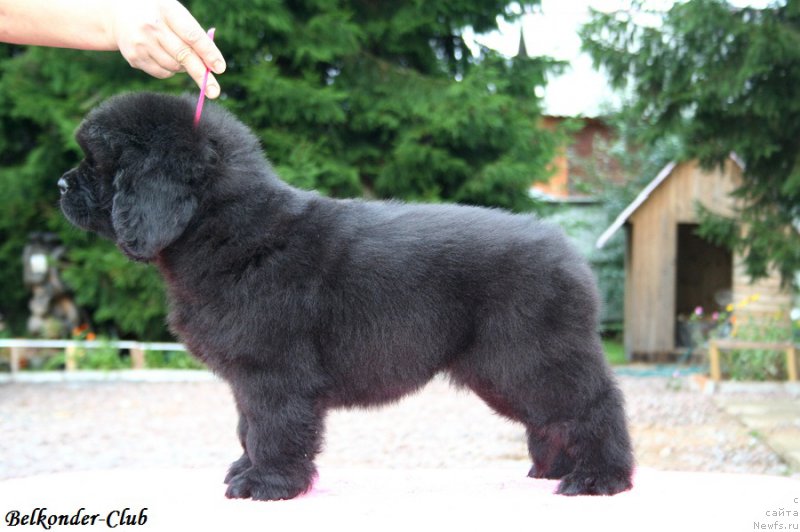 Фотография № 192412