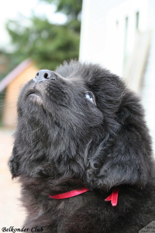 Фотография № 192416