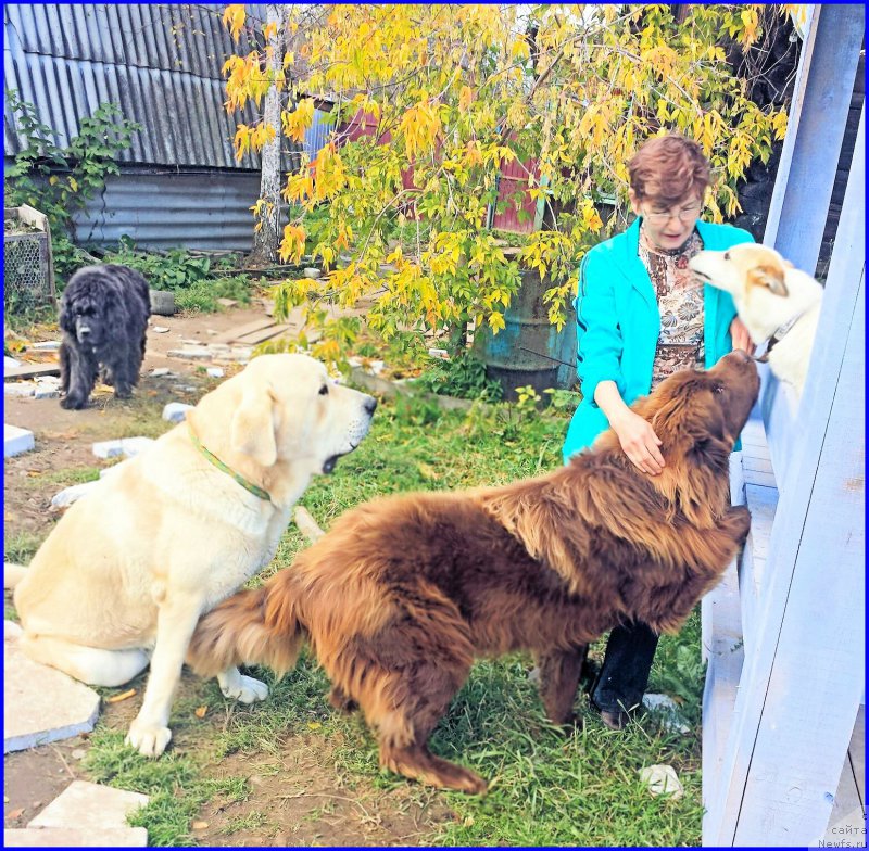 Фотография № 192417