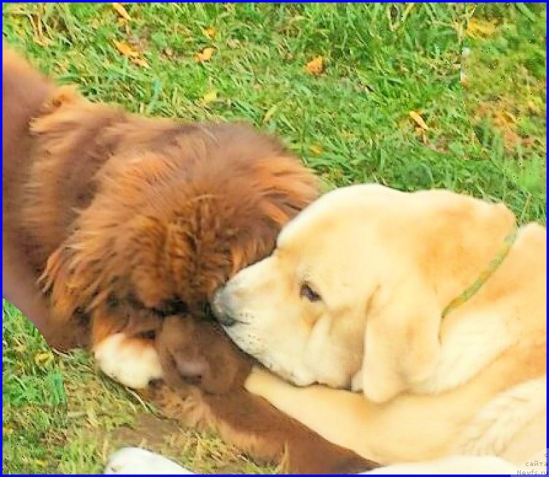 Фотография № 192424