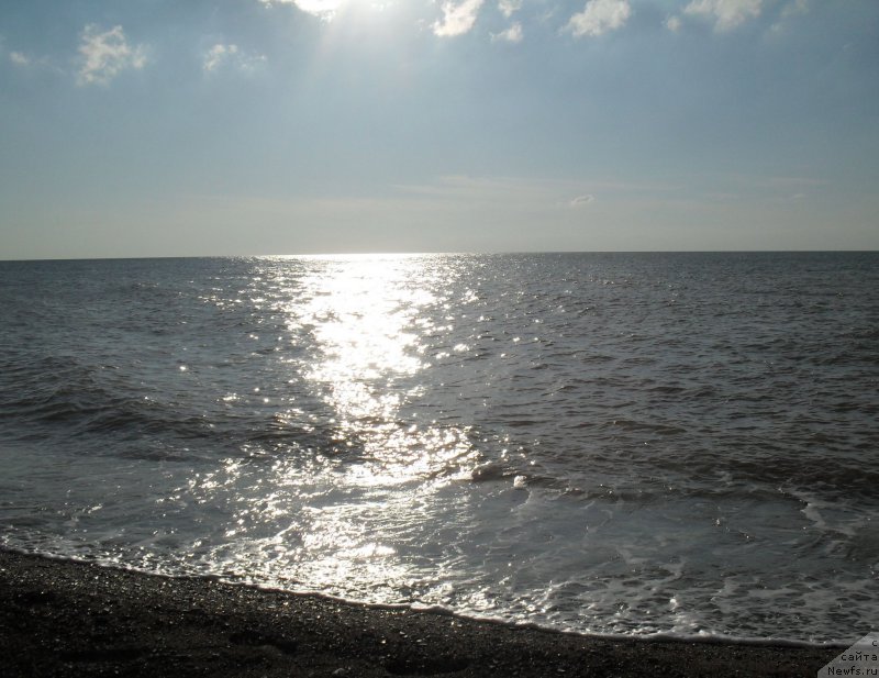 Фотография № 192442