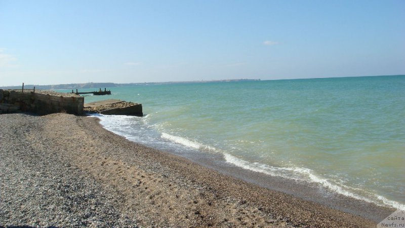 Фотография № 192443